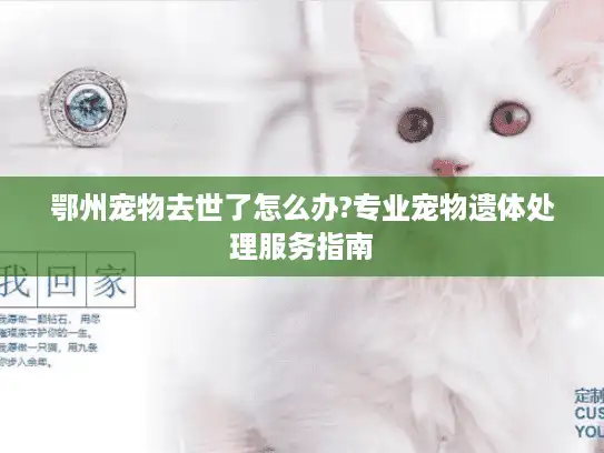鄂州宠物去世了怎么办?专业宠物遗体处理服务指南