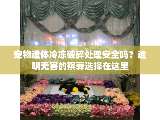 宠物遗体冷冻破碎处理安全吗?透明无害的殡葬选择在这里 宠物遗体冷冻破碎处理安全吗?透明无害的殡葬选择在这里