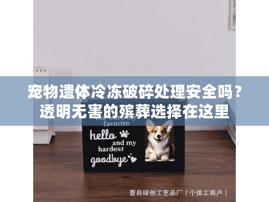 宠物遗体冷冻破碎处理安全吗?透明无害的殡葬选择在这里 宠物遗体冷冻破碎处理安全吗?透明无害的殡葬选择在这里