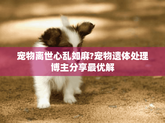 宠物离世心乱如麻?宠物遗体处理博主分享最优解 宠物离世心乱如麻?宠物遗体处理博主分享最优解