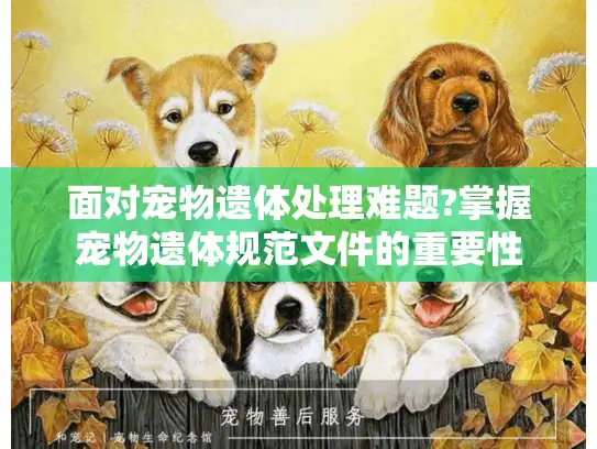 面对宠物遗体处理难题?掌握宠物遗体规范文件的重要性