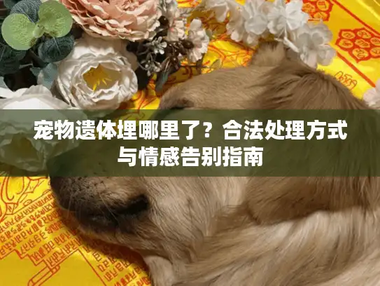 宠物遗体埋哪里了?合法处理方式与情感告别指南 宠物遗体埋哪里了?合法处理方式与情感告别指南