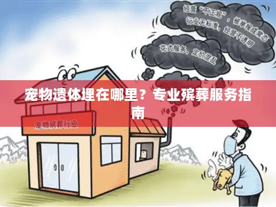 宠物遗体埋在哪里？专业殡葬服务指南