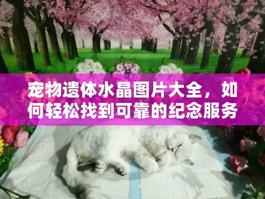 宠物遗体水晶图片大全,如何轻松找到可靠的纪念服务解决方案? 宠物遗体水晶图片大全,如何轻松找到可靠的纪念服务解决方案?