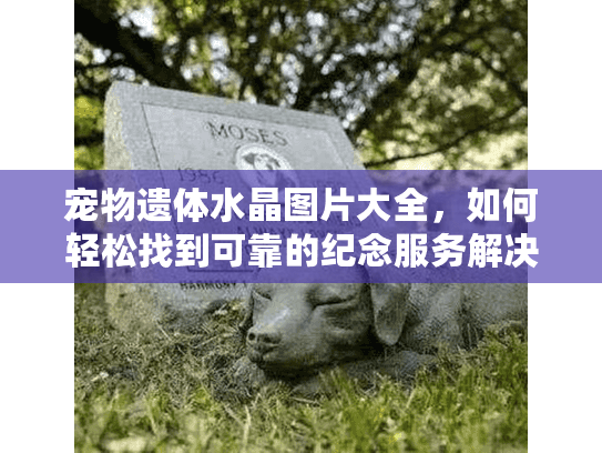 宠物遗体水晶图片大全,如何轻松找到可靠的纪念服务解决方案? 宠物遗体水晶图片大全,如何轻松找到可靠的纪念服务解决方案?