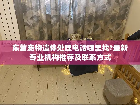 东营宠物遗体处理电话哪里找?最新专业机构推荐及联系方式