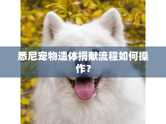 悉尼宠物遗体捐献流程如何操作？