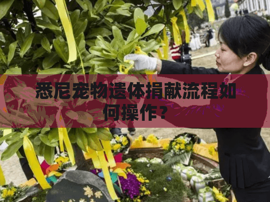 悉尼宠物遗体捐献流程如何操作？