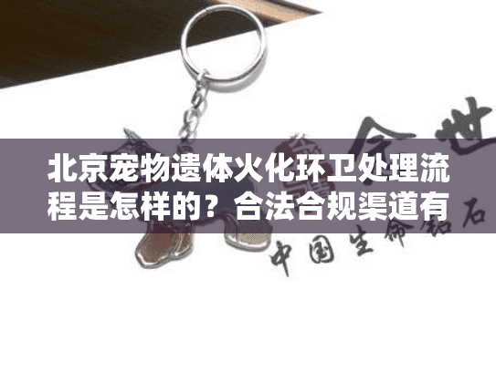 北京宠物遗体火化环卫处理流程是怎样的？合法合规渠道有哪些？