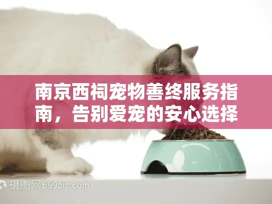 南京西祠宠物善终服务指南，告别爱宠的安心选择