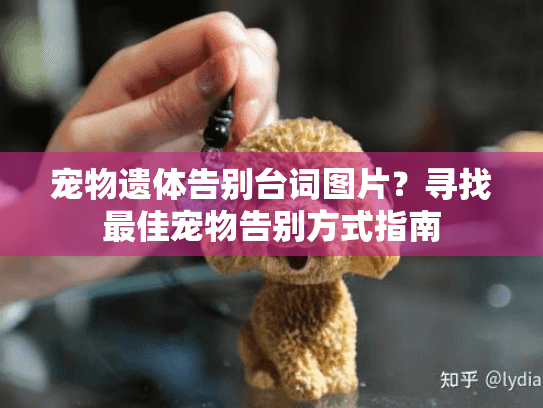 宠物遗体告别台词图片？寻找最佳宠物告别方式指南