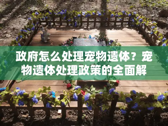 政府怎么处理宠物遗体?宠物遗体处理政策的全面解析 政府怎么处理宠物遗体?宠物遗体处理政策的全面解析