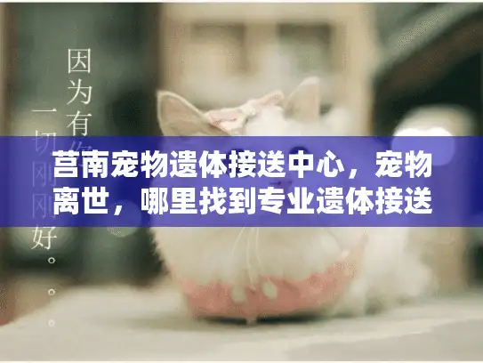 莒南宠物遗体接送中心，宠物离世，哪里找到专业遗体接送服务？