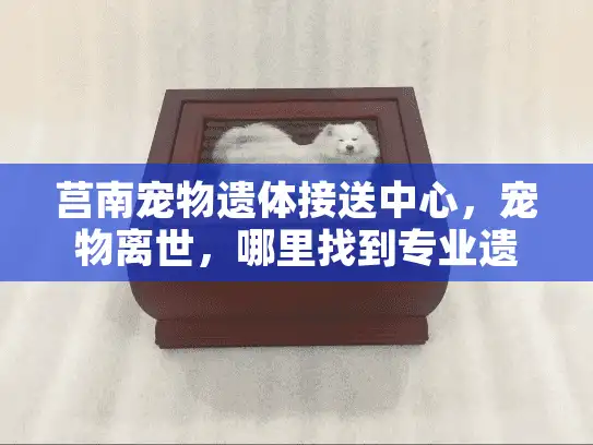 莒南宠物遗体接送中心，宠物离世，哪里找到专业遗体接送服务？