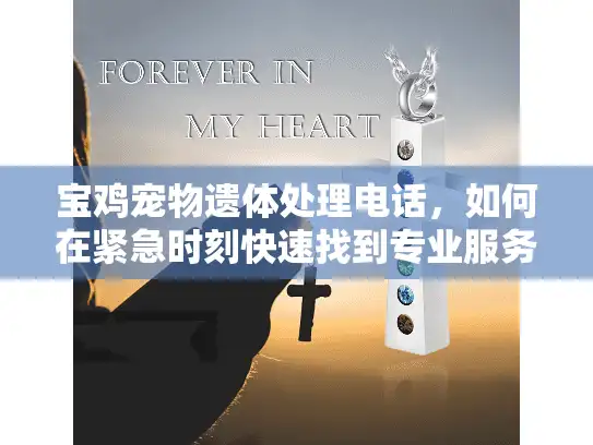 宝鸡宠物遗体处理电话，如何在紧急时刻快速找到专业服务热线
