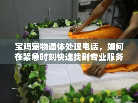 宝鸡宠物遗体处理电话，如何在紧急时刻快速找到专业服务热线