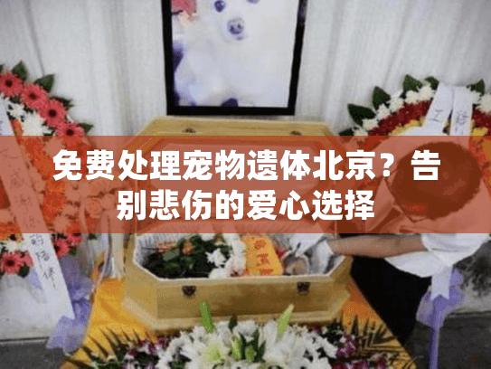 免费处理宠物遗体北京?告别悲伤的爱心选择 免费处理宠物遗体北京?告别悲伤的爱心选择