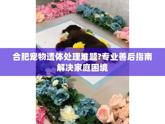 合肥宠物遗体处理难题?专业善后指南解决家庭困境