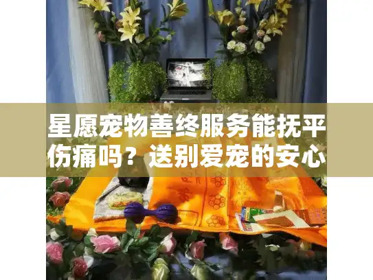 星愿宠物善终服务能抚平伤痛吗？送别爱宠的安心选择