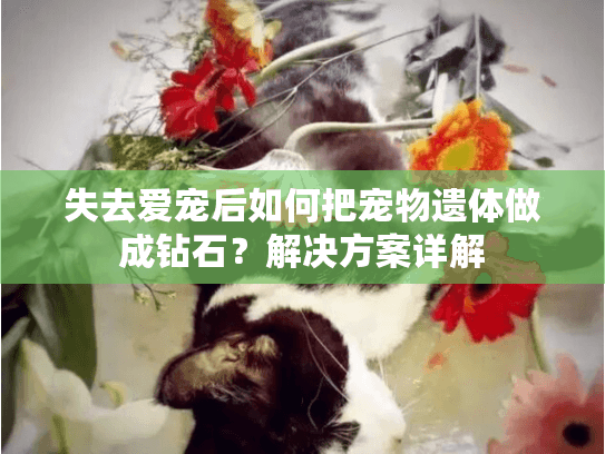 失去爱宠后如何把宠物遗体做成钻石？解决方案详解