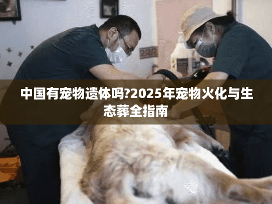 中国有宠物遗体吗?2025年宠物火化与生态葬全指南