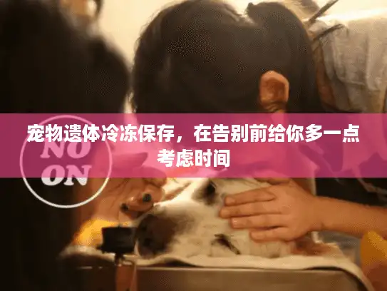 宠物遗体冷冻保存，在告别前给你多一点考虑时间