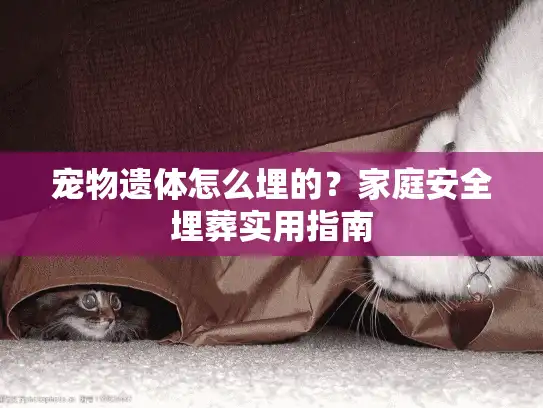 宠物遗体怎么埋的？家庭安全埋葬实用指南