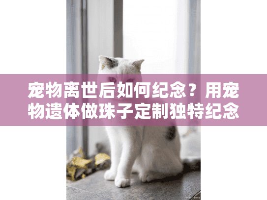 宠物离世后如何纪念？用宠物遗体做珠子定制独特纪念品