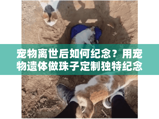 宠物离世后如何纪念？用宠物遗体做珠子定制独特纪念品