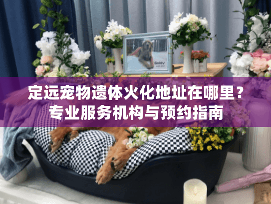 定远宠物遗体火化地址在哪里？专业服务机构与预约指南