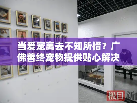 当爱宠离去不知所措?广佛善终宠物提供贴心解决方案! 当爱宠离去不知所措?广佛善终宠物提供贴心解决方案!