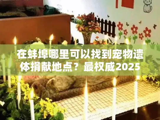 在蚌埠哪里可以找到宠物遗体捐献地点？最权威2025指南