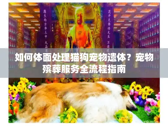 如何体面处理猫狗宠物遗体?宠物殡葬服务全流程指南 如何体面处理猫狗宠物遗体?宠物殡葬服务全流程指南