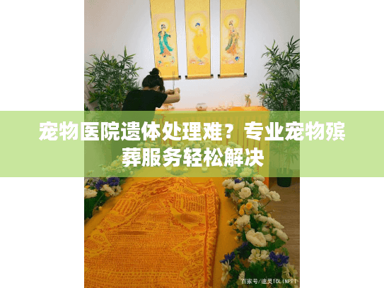 宠物医院遗体处理难？专业宠物殡葬服务轻松解决