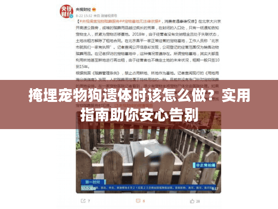 掩埋宠物狗遗体时该怎么做？实用指南助你安心告别