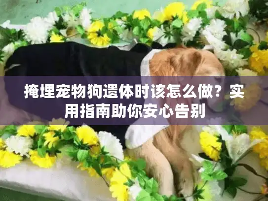掩埋宠物狗遗体时该怎么做？实用指南助你安心告别