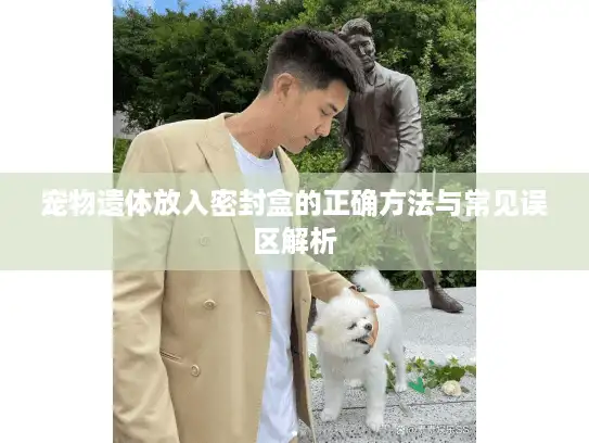 宠物遗体放入密封盒的正确方法与常见误区解析