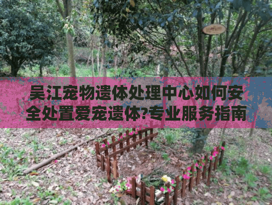 吴江宠物遗体处理中心如何安全处置爱宠遗体?专业服务指南
