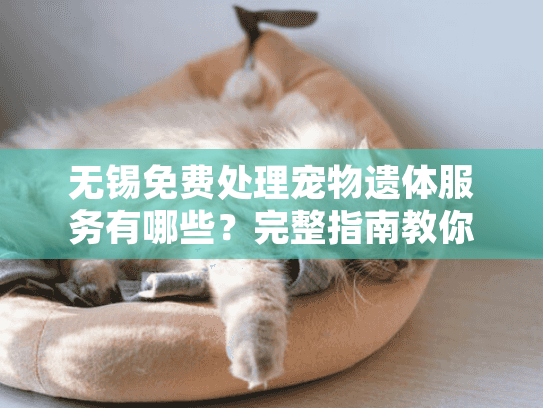 无锡免费处理宠物遗体服务有哪些？完整指南教你如何申请