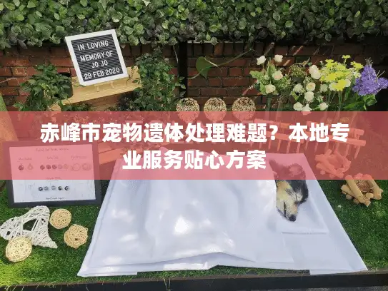 赤峰市宠物遗体处理难题？本地专业服务贴心方案