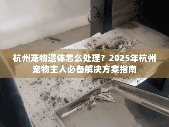 杭州宠物遗体怎么处理？2025年杭州宠物主人必备解决方案指南