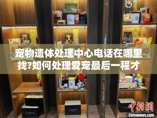 宠物遗体处理中心电话在哪里找?如何处理爱宠最后一程才安心?