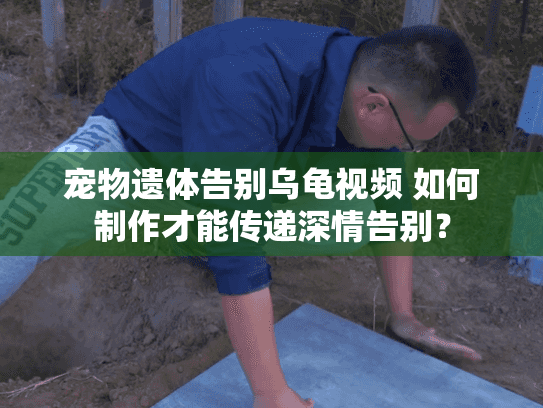 宠物遗体告别乌龟视频 如何制作才能传递深情告别？