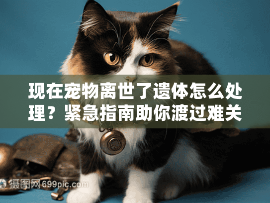 现在宠物离世了遗体怎么处理？紧急指南助你渡过难关
