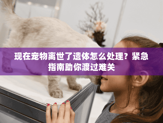 现在宠物离世了遗体怎么处理？紧急指南助你渡过难关