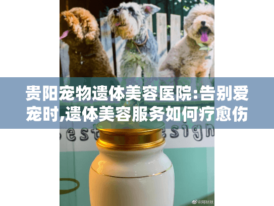 贵阳宠物遗体美容医院:告别爱宠时,遗体美容服务如何疗愈伤痛?