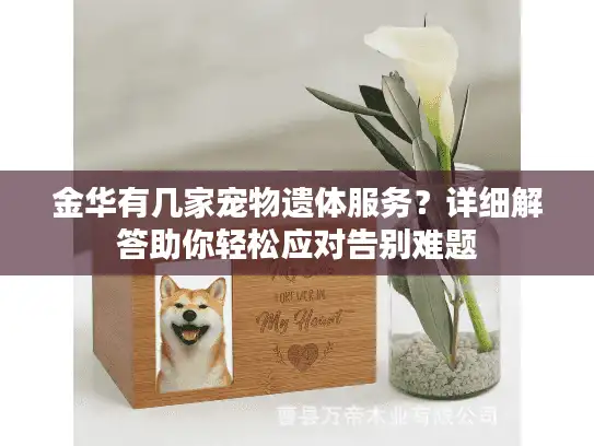 金华有几家宠物遗体服务？详细解答助你轻松应对告别难题