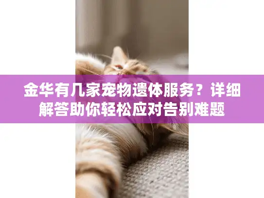 金华有几家宠物遗体服务？详细解答助你轻松应对告别难题