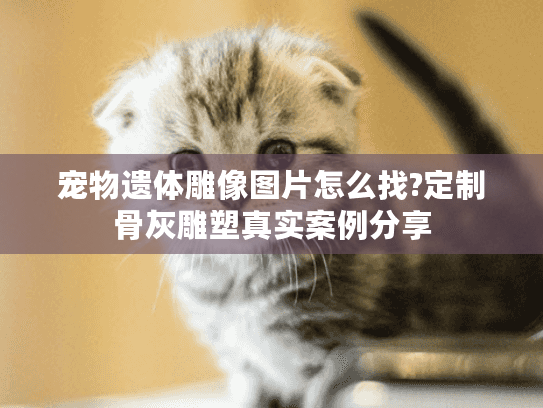 宠物遗体雕像图片怎么找?定制骨灰雕塑真实案例分享