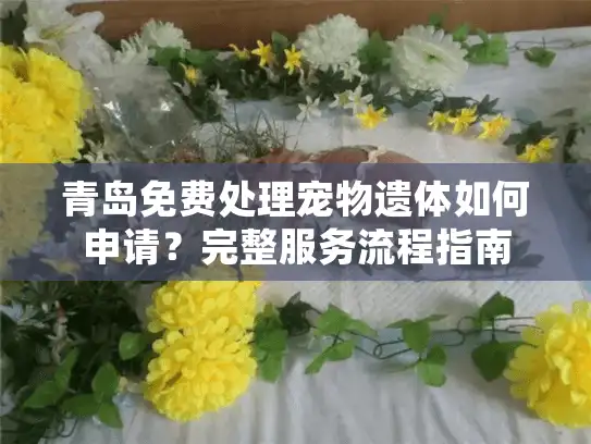 青岛免费处理宠物遗体如何申请？完整服务流程指南